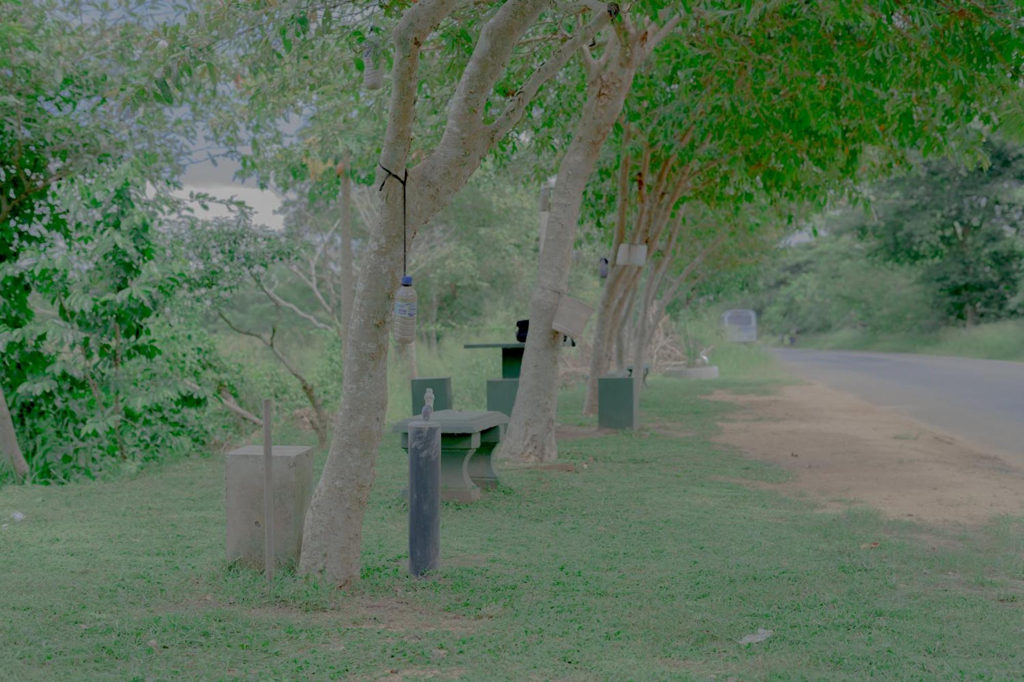 Wilpattu Restaurant & Guest House Pahala Maragahawewa Экстерьер фото